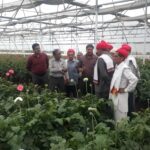काश्मीरचा नवा अध्याय: जम्मू – काश्मीरचे अनेक शेतकरी आणि उद्योजकांचे नवनवीन प्रयोग