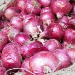 आठवडाभरात कांदा सर्वसामान्यांना रडवणार?