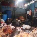 महमंदवाडी येथे पहाटे दहा गायींची कत्तल:पोलिसांचा छापा