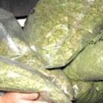 दहा किलो गांजा जप्त:पाच जणांना अटक