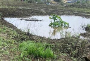 खणलेल्या खड्यात बुडून तीन भावंडांचा मृत्यू