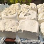 २२ लाख ६५  हजार रुपये किंमतीचे बनावट पनीर जप्त