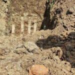 Excavation found old hand grenades in Baner area