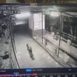 Leopards at the Rajiv Gandhi Zoological Museum, Katraj ran away