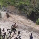 Succeeded in finding the bodies of all the five people who were washed away from the falls