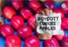Traders boycott Turkish apples
