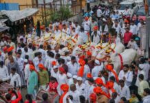 आळंदीत माऊलींच्या पालखी रथ बैलजोडीची भव्य मिरवणूक
