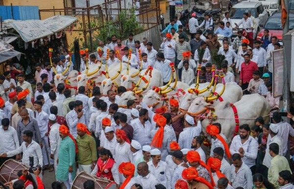 आळंदीत माऊलींच्या पालखी रथ बैलजोडीची भव्य मिरवणूक