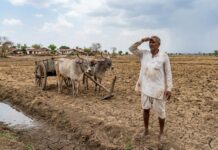 मान्सूनचे पुनरागमन: २४ जूनपासून महाराष्ट्रात पावसाचा जोर वाढणार, हवामान विभागाचा अंदाज महाराष्ट्र मान्सून अपडेट (Maharashtra Monsoon Update)
