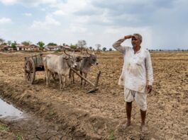 महाराष्ट्र मान्सून अपडेट (Maharashtra Monsoon Update)
