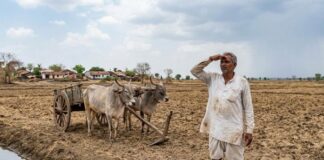 मान्सूनचे पुनरागमन: २४ जूनपासून महाराष्ट्रात पावसाचा जोर वाढणार, हवामान विभागाचा अंदाज महाराष्ट्र मान्सून अपडेट (Maharashtra Monsoon Update)