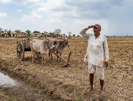 मान्सूनचे पुनरागमन: २४ जूनपासून महाराष्ट्रात पावसाचा जोर वाढणार, हवामान विभागाचा अंदाज महाराष्ट्र मान्सून अपडेट (Maharashtra Monsoon Update)