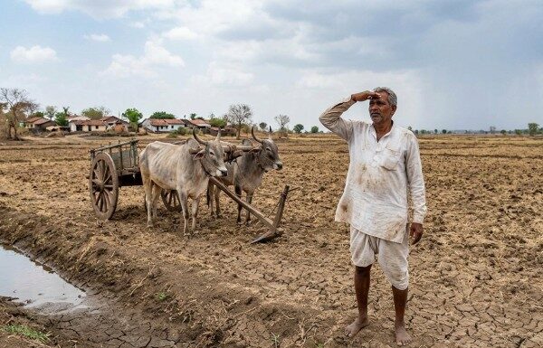 मान्सूनचे पुनरागमन: २४ जूनपासून महाराष्ट्रात पावसाचा जोर वाढणार, हवामान विभागाचा अंदाज महाराष्ट्र मान्सून अपडेट (Maharashtra Monsoon Update)