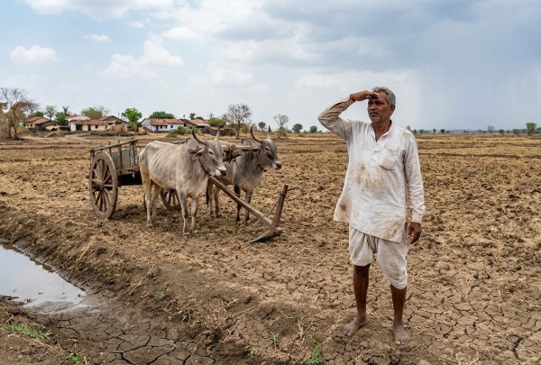 महाराष्ट्र मान्सून अपडेट (Maharashtra Monsoon Update) महाराष्ट्र मान्सून अपडेट (Maharashtra Monsoon Update)