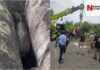 पुणे सिंहगड रस्ता रानगवा बचाव मोहीम (Pune Sinhgad Road Gaur Rescue Operation)
